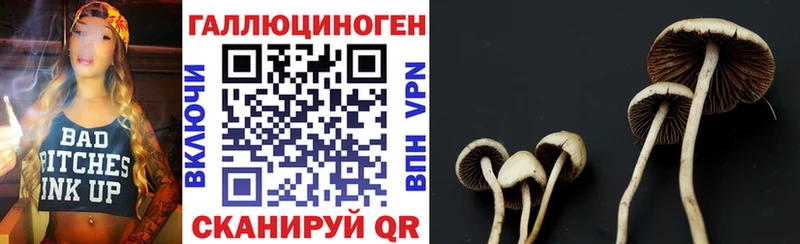 магазин продажи   Троицк  Псилоцибиновые грибы GOLDEN TEACHER 