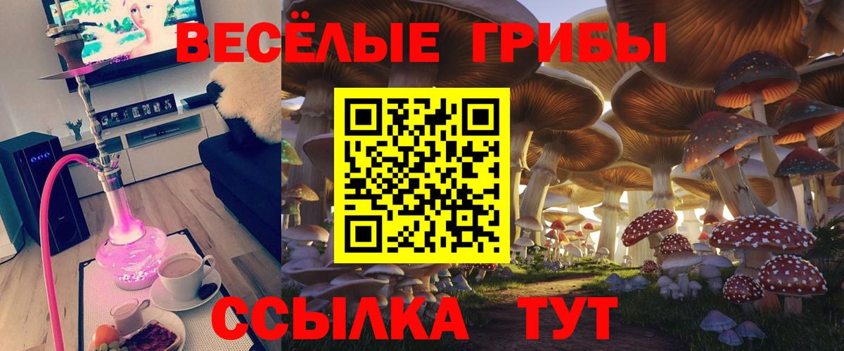Троицк  Псилоцибиновые грибы прущие грибы  как найти   Псилоцибиновые грибы ЛСД  Вход с VPN 