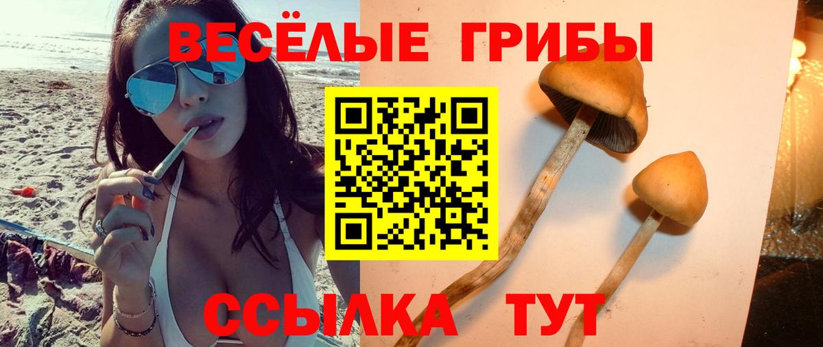 Бошки Шишки  A PVP СОЛЬ   Троицк  Меф кристаллы  Вход с VPN  КОКАИН 