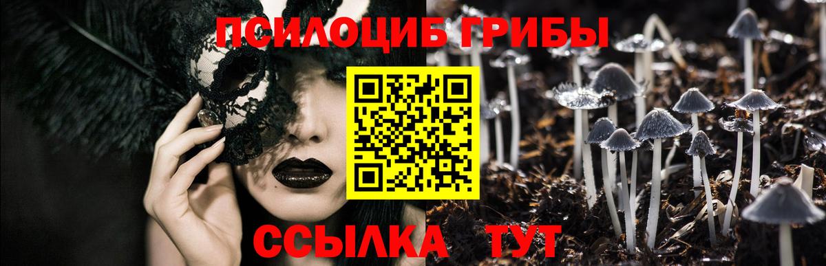 Псилоцибиновые грибы мухоморы Троицк